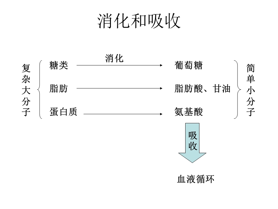 初中生物知识结构.ppt_第3页