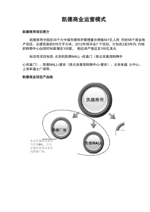 凯德商业项目运营模式.docx