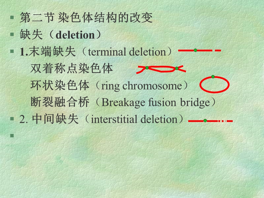 分子遗传学221染色体畸变.ppt_第3页