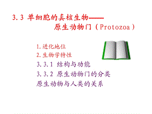 动物生物学3-3原生动物.ppt