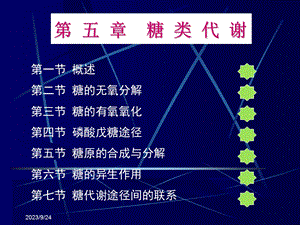 动物生物化学第05章糖类代谢.ppt