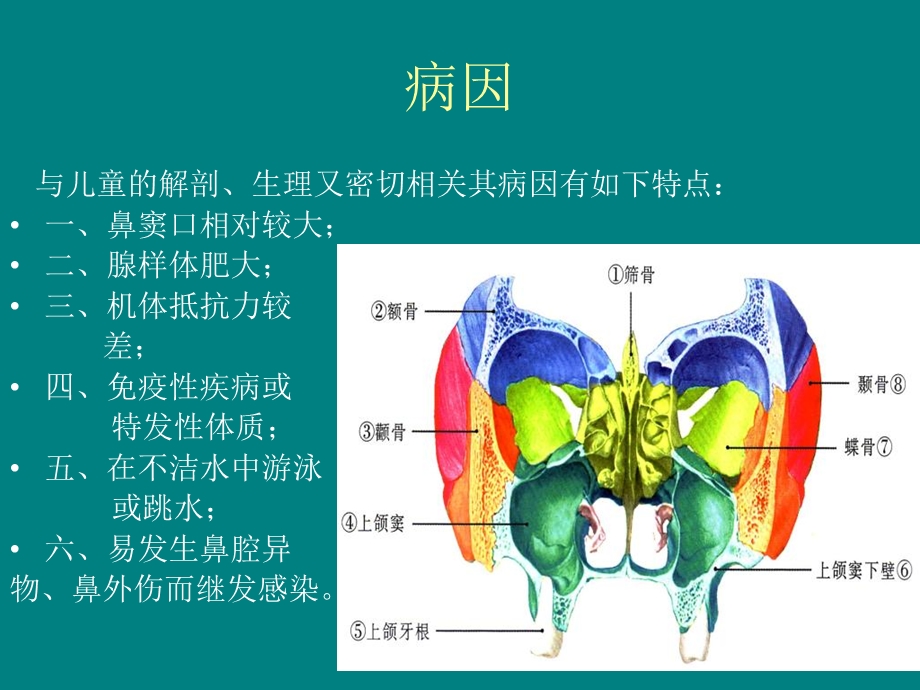 儿童鼻窦炎诊断和治疗建议2014年修订.ppt_第3页