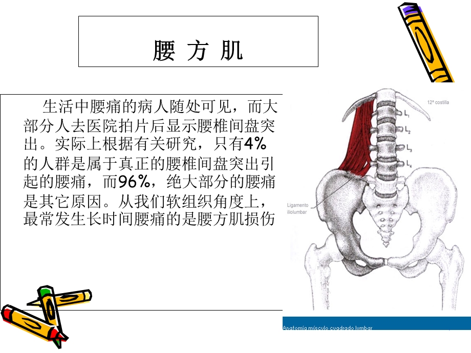 处理腰方肌受损.ppt_第1页