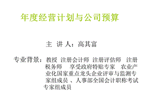 公司计划全面预决算.ppt