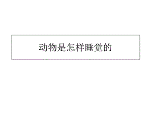 动物是怎样睡觉的.ppt