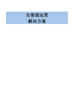 全渠道运营解决方案 白皮书.docx