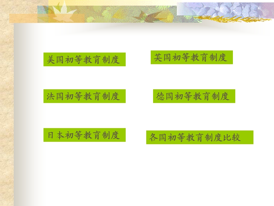 初等教育制度比较.ppt_第2页