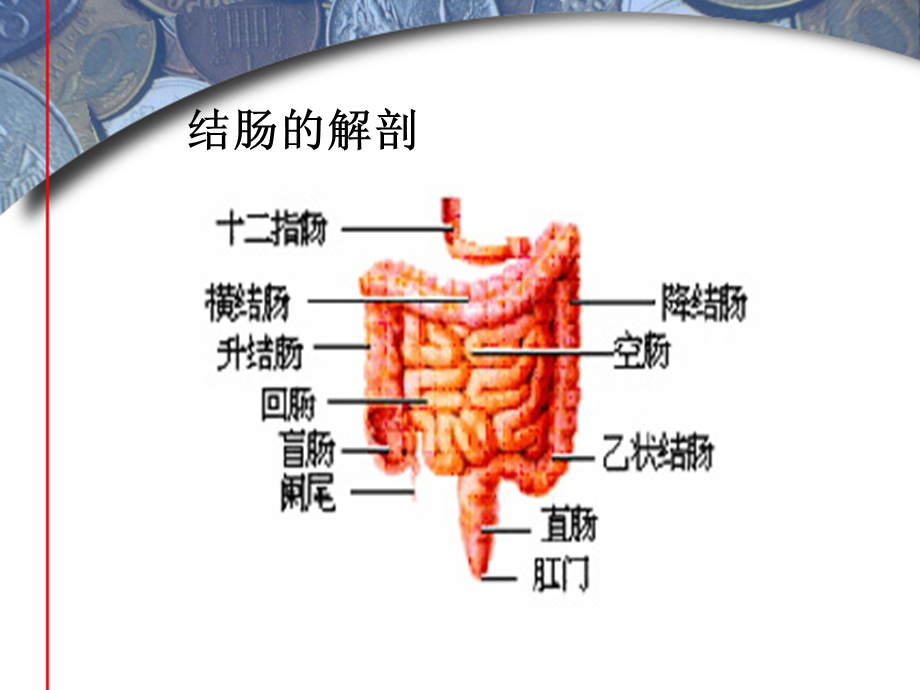 大肠、肛管疾病病人的护理成人护理学ppt课件.ppt_第3页