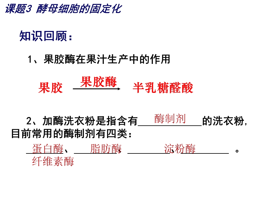 固定化(半成品).ppt_第1页