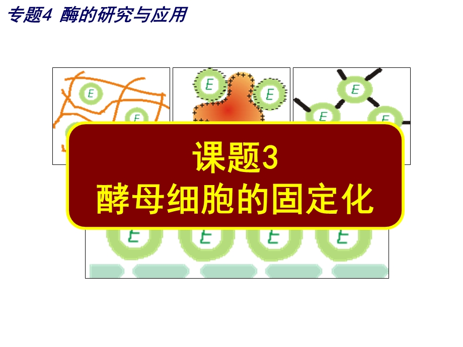 固定化(半成品).ppt_第3页