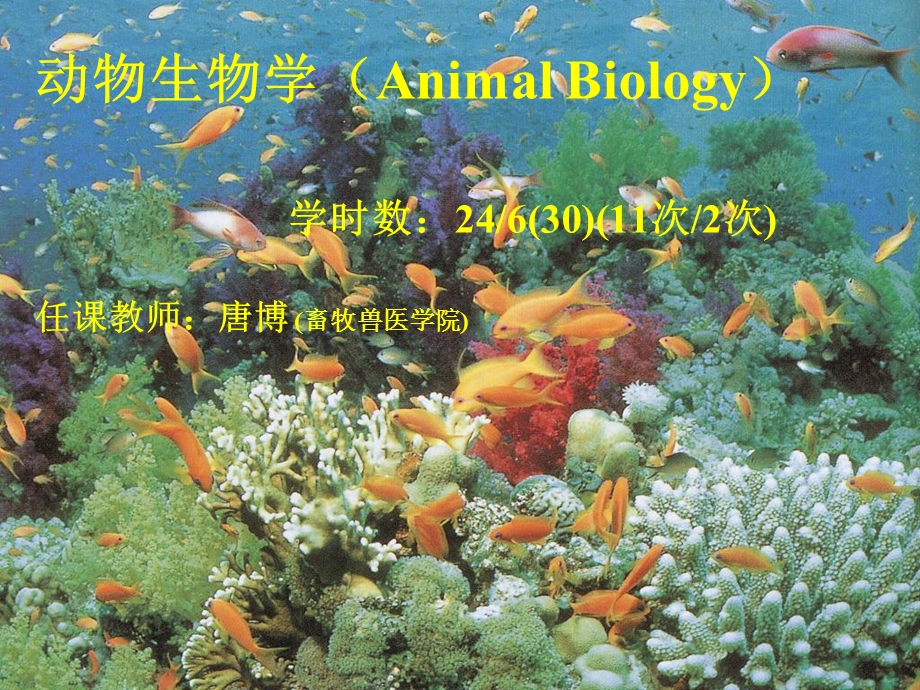 动物生物学绪论.ppt_第1页