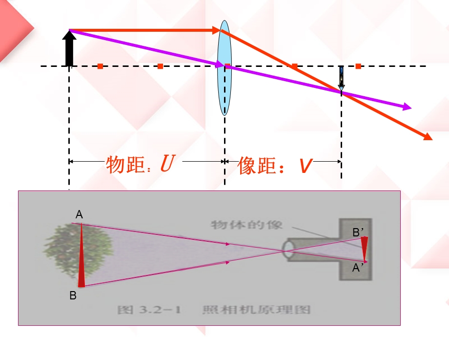 初二物理-眼睛和眼镜.ppt_第3页