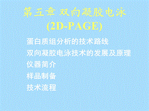 双向凝胶电泳.ppt