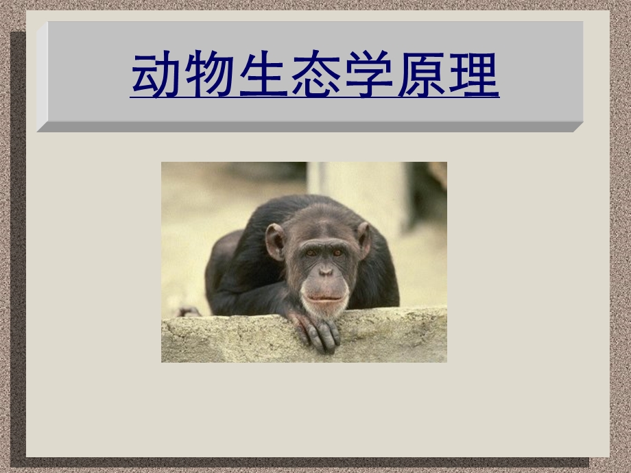 动物生态学原理.ppt_第1页