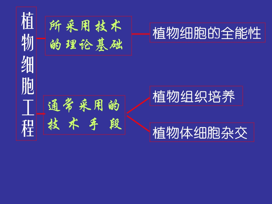 动物细胞工程下学期新人教.ppt_第1页