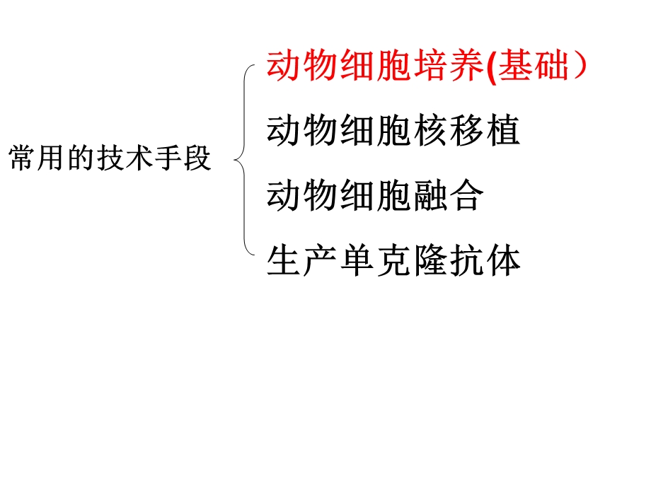 动物细胞工程下学期新人教.ppt_第3页