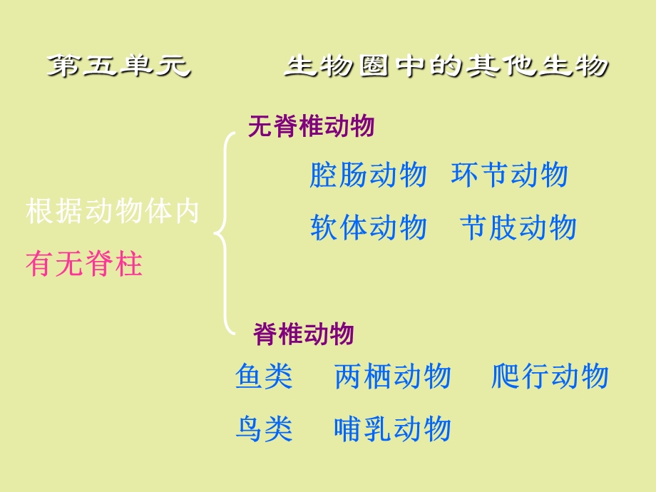 初二上册生物复习总提纲.ppt_第1页