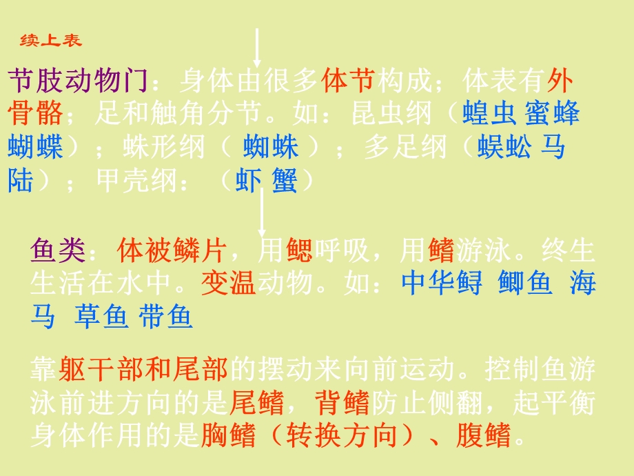 初二上册生物复习总提纲.ppt_第3页