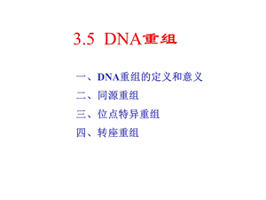 分子生物学第035章DNA重组.ppt