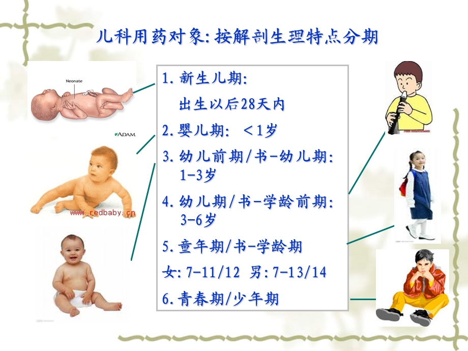 儿童用药安全知识.ppt_第3页