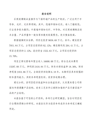 宣城石英玻璃制品项目可行性研究报告.docx