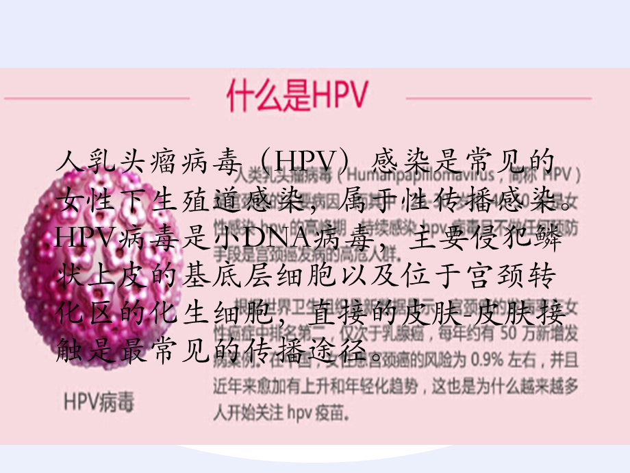 宫颈癌疫苗与HPV.ppt_第2页