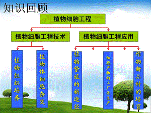 动物细胞培养和核移植技术(苗).ppt