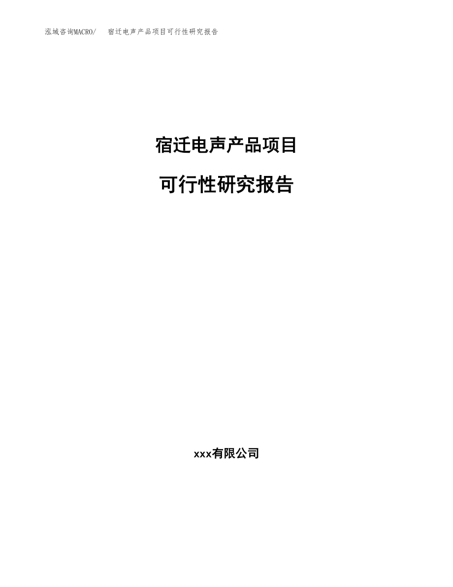 宿迁电声产品项目研究报告.docx_第1页