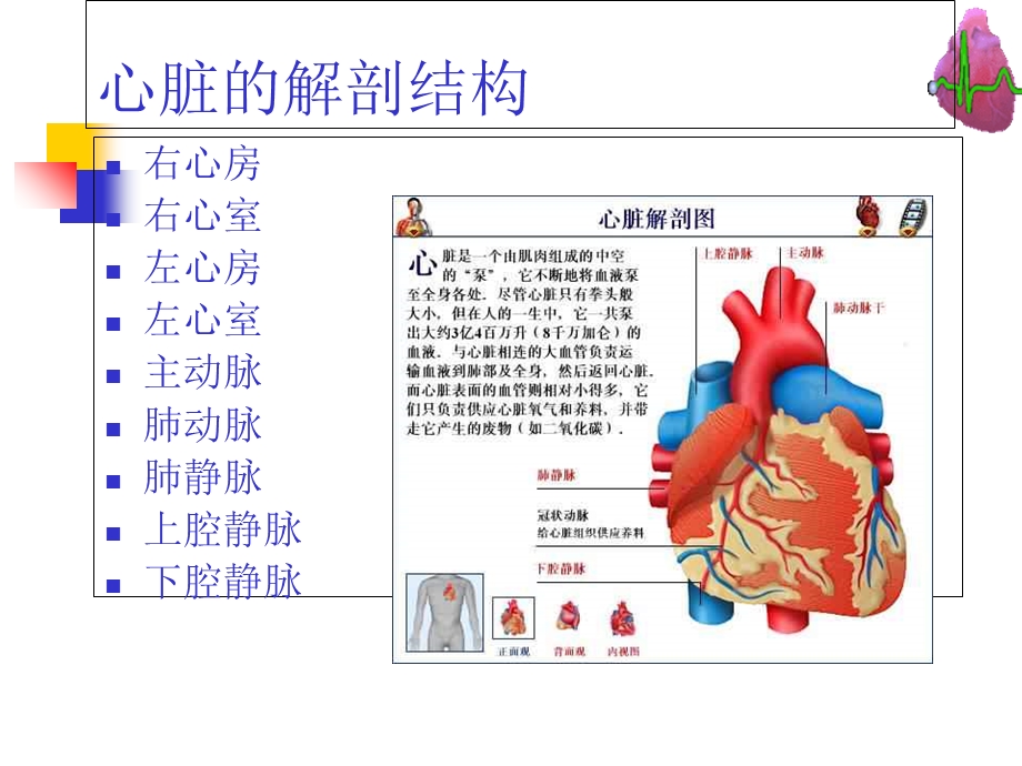 冠心病-河北-张成虎.ppt_第3页