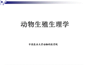 动物生殖生理学PPT.ppt