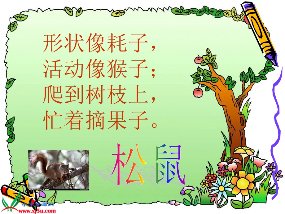 北师大三年级下《松鼠》.ppt_第2页