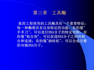 分子克隆中所用酶.ppt