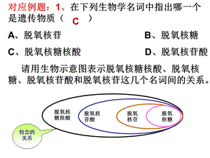 复习DNA的复制.ppt