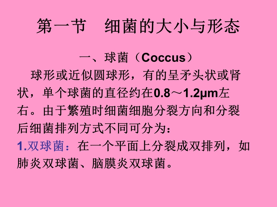 动物微生物学及免疫学课件-细菌的形态与结构.ppt_第2页