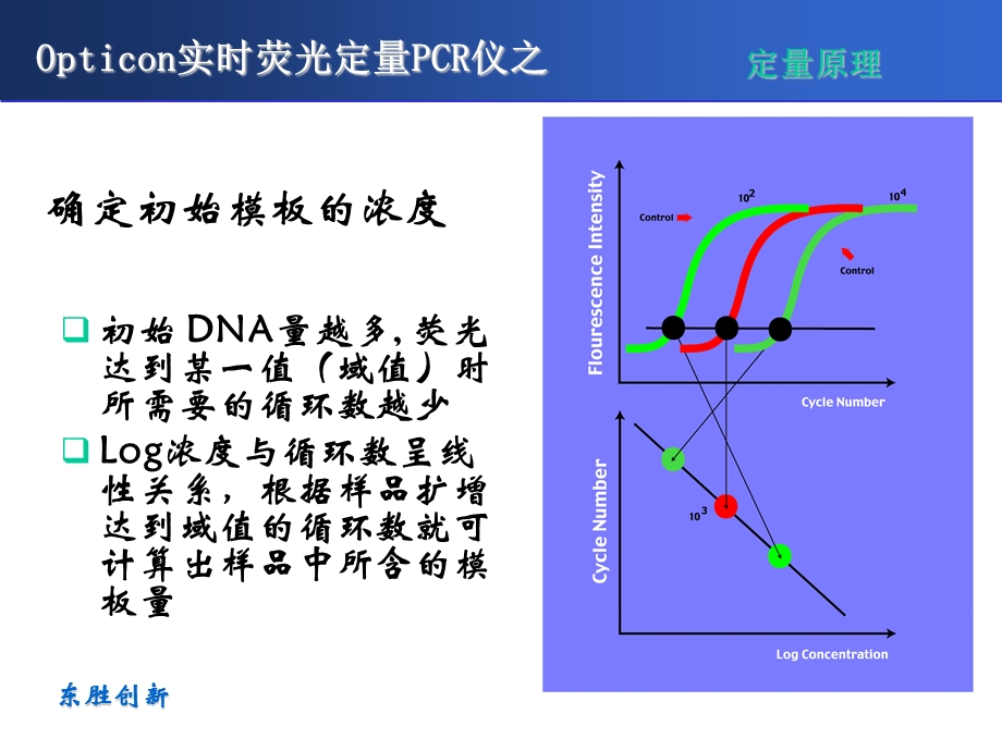 定量与常规PCR的差别.ppt_第3页