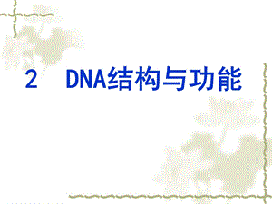 分子生物学-DNA结构与功能.ppt