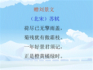 古诗《赠刘景文》课件.ppt