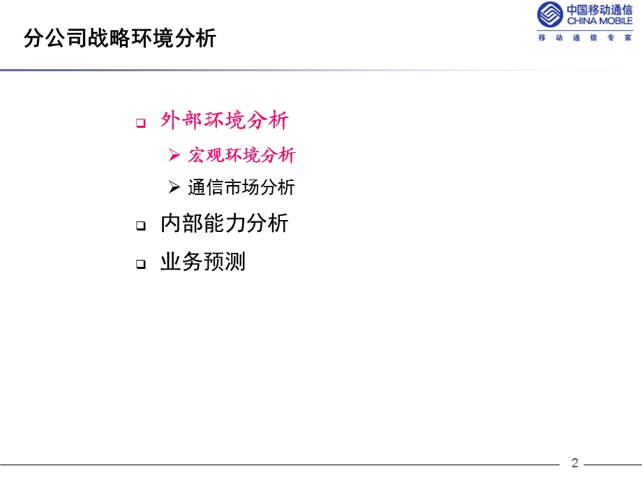 分公司战略环境分析模板.ppt_第2页