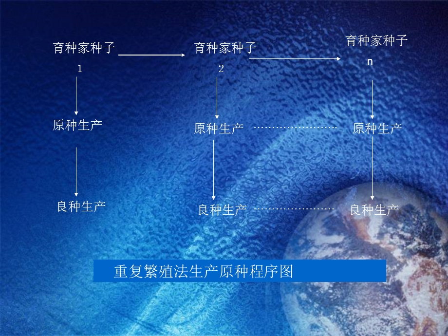 大豆水稻大集合种子生产程序.ppt_第2页