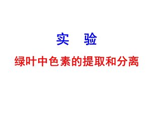 实验,绿叶中色素的提取和分离.ppt