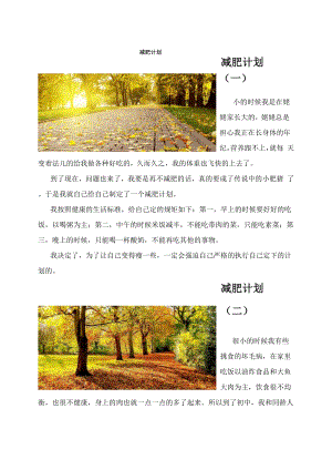 减肥计划(共10篇).docx