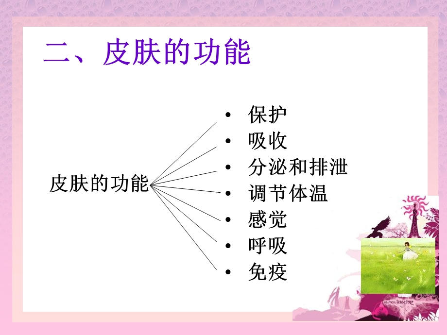 化妆营销美容技术-皮肤的生理功能课时.ppt_第3页