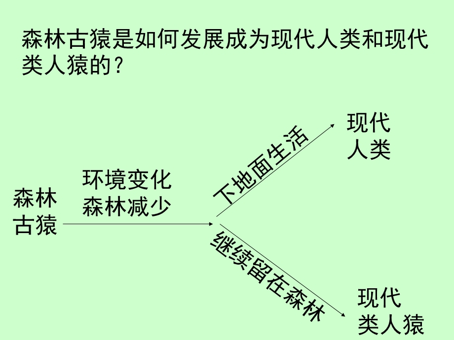 八年级下生物期末复习修改.ppt_第1页