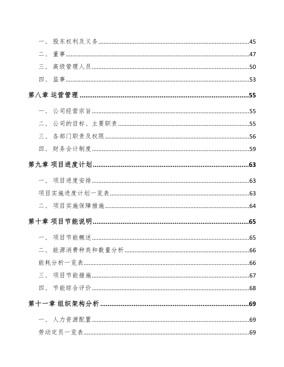 宿州汽车灯具项目可行性研究报告.docx_第3页