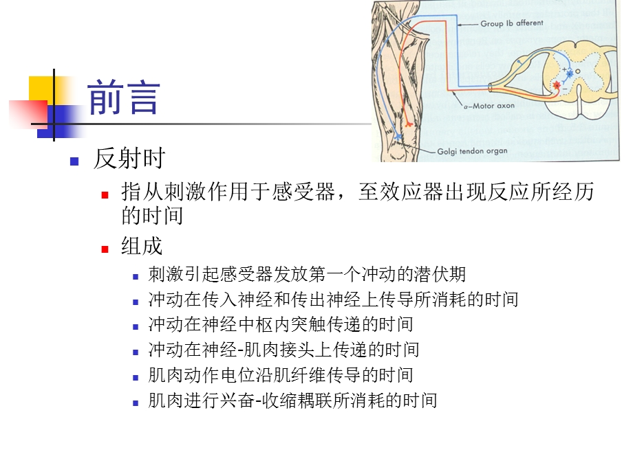 反射中枢活动的某些基本特征.ppt_第3页