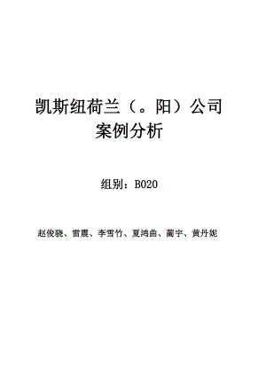 凯斯纽荷兰公司.docx