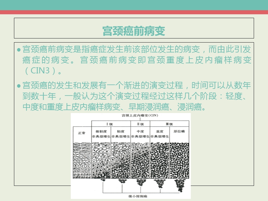 宫颈细胞学检查.ppt_第3页