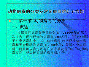 动物病毒的分类及常见病毒的分子结构.ppt