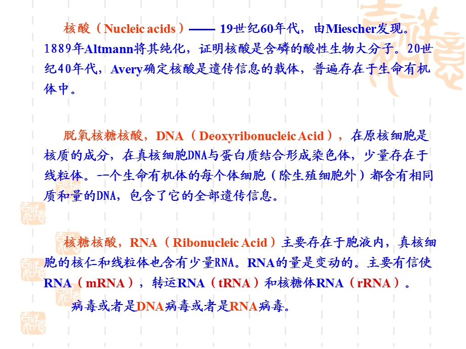 动物生物化学第四章核酸.ppt_第3页