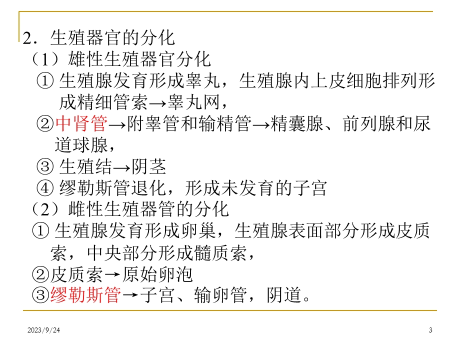 动物的生殖器官.ppt_第3页